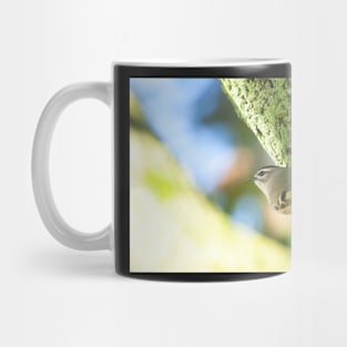 Kinglet Mug